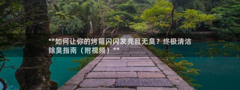 尊龙凯时登陆入口：**如何让你的烤箱闪闪发亮且无臭？终极