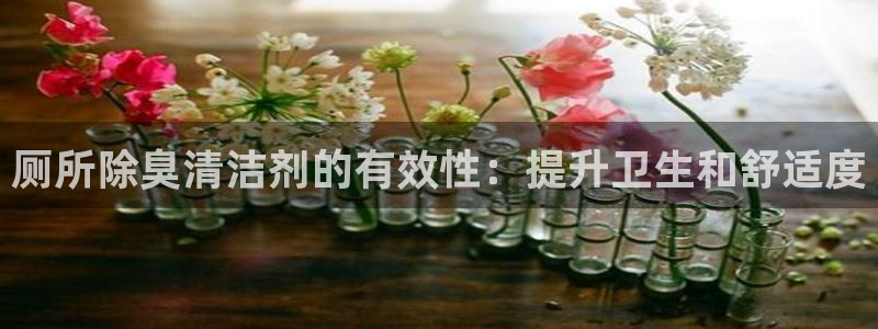 尊龙凯时取款24小时不到账