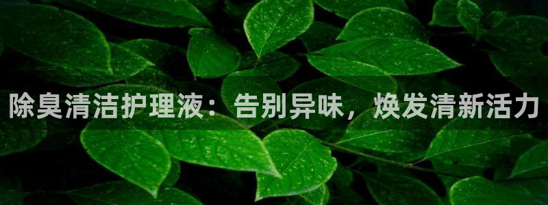 尊龙,人生就是博!登录国际：除臭清洁护理液：告别异味，焕