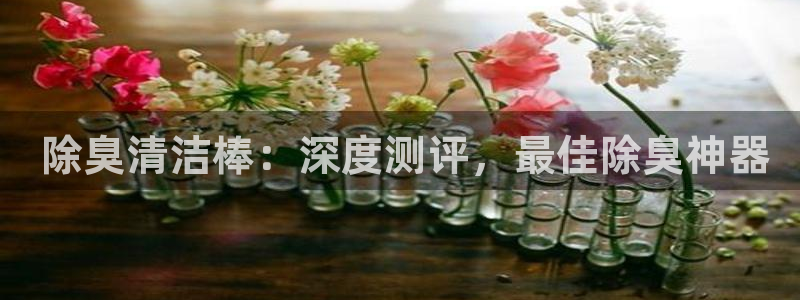 新版尊龙99： 除臭清洁棒：深度测评，最佳除臭神器